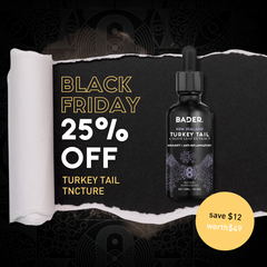 Turkey Tail Tincture - Black Friday Special